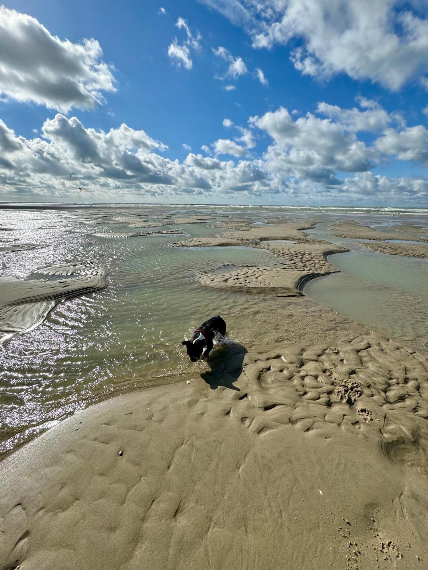 Le Paillette T2 400 M De La Plage Berck المظهر الخارجي الصورة