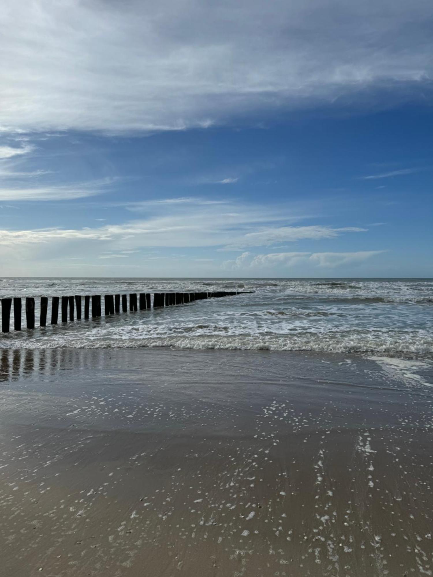 Le Paillette T2 400 M De La Plage Berck المظهر الخارجي الصورة