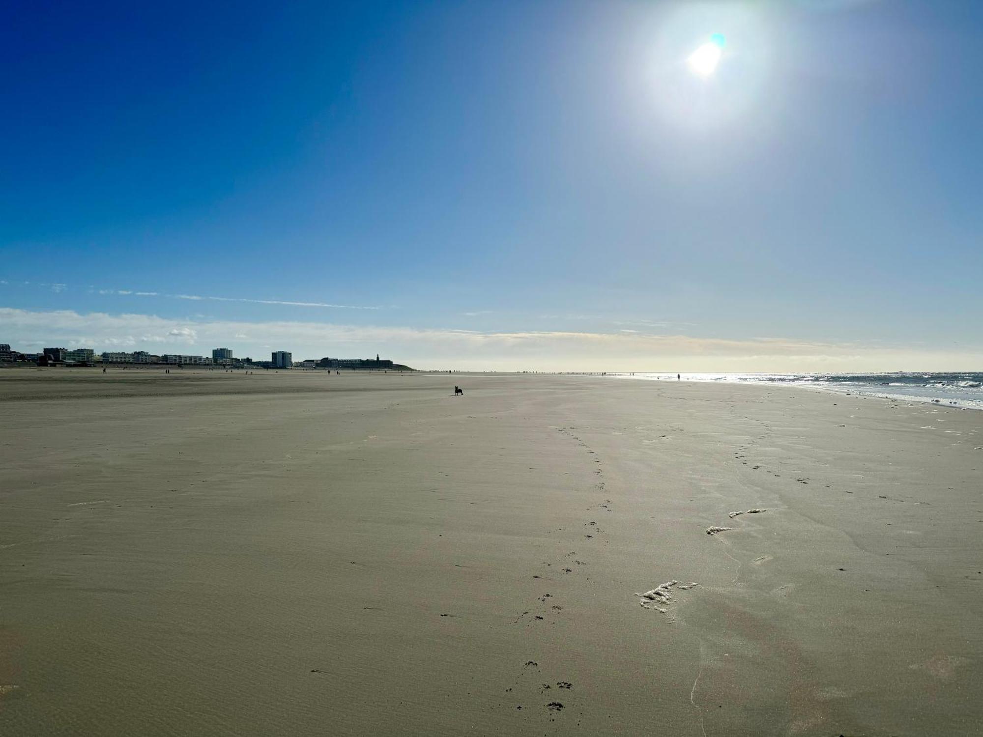 Le Paillette T2 400 M De La Plage Berck المظهر الخارجي الصورة